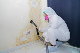 Best Industrial Mold Remediation  in Ashburn, GA